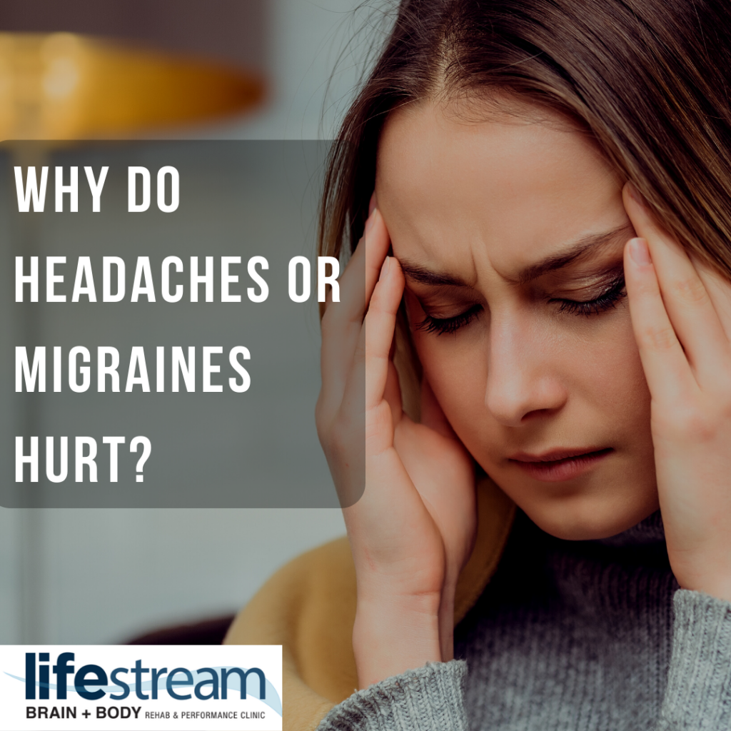 Why do Headaches/ Migraines Hurt So Bad? – Lifestream Clinic